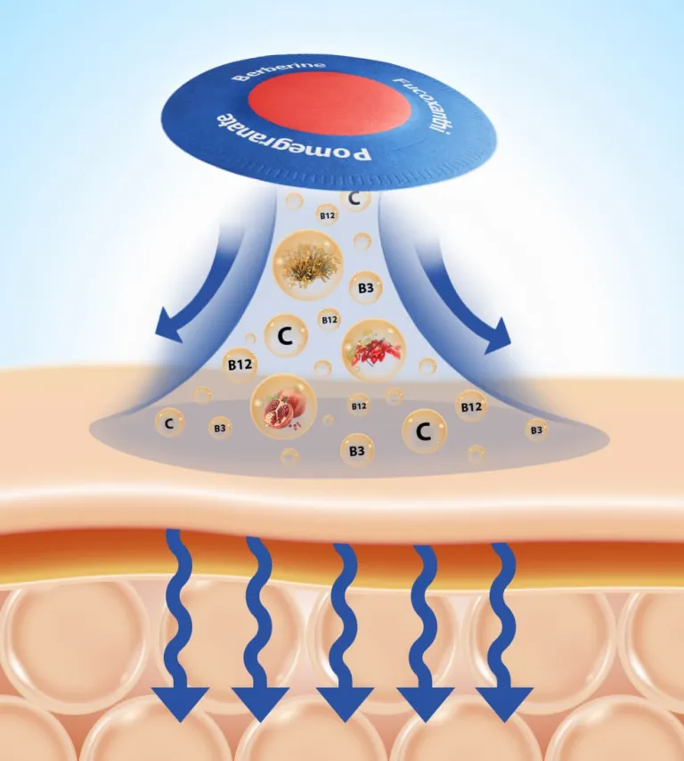 what is Purisaki Berberine Patch